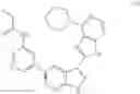 Fig. 1576 - 3-(1h-imidazo[4,5-C]pyridin-2-yl)-1h-pyrazolo[3,4-C]pyridine and therapeutic uses thereof