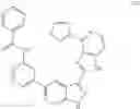 Fig. 1597 - 3-(1h-imidazo[4,5-C]pyridin-2-yl)-1h-pyrazolo[3,4-C]pyridine and therapeutic uses thereof