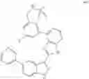 Fig. 1632 - 3-(1h-imidazo[4,5-C]pyridin-2-yl)-1h-pyrazolo[3,4-C]pyridine and therapeutic uses thereof
