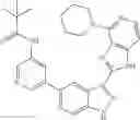 Fig. 171 - 3-(1h-imidazo[4,5-C]pyridin-2-yl)-1h-pyrazolo[3,4-C]pyridine and therapeutic uses thereof