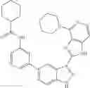Fig. 185 - 3-(1h-imidazo[4,5-C]pyridin-2-yl)-1h-pyrazolo[3,4-C]pyridine and therapeutic uses thereof