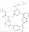 Fig. 465 - 3-(1h-imidazo[4,5-C]pyridin-2-yl)-1h-pyrazolo[3,4-C]pyridine and therapeutic uses thereof