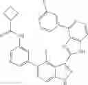 Fig. 495 - 3-(1h-imidazo[4,5-C]pyridin-2-yl)-1h-pyrazolo[3,4-C]pyridine and therapeutic uses thereof