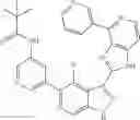 Fig. 561 - 3-(1h-imidazo[4,5-C]pyridin-2-yl)-1h-pyrazolo[3,4-C]pyridine and therapeutic uses thereof
