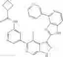 Fig. 573 - 3-(1h-imidazo[4,5-C]pyridin-2-yl)-1h-pyrazolo[3,4-C]pyridine and therapeutic uses thereof