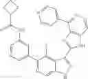 Fig. 599 - 3-(1h-imidazo[4,5-C]pyridin-2-yl)-1h-pyrazolo[3,4-C]pyridine and therapeutic uses thereof