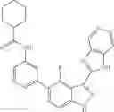 Fig. 731 - 3-(1h-imidazo[4,5-C]pyridin-2-yl)-1h-pyrazolo[3,4-C]pyridine and therapeutic uses thereof