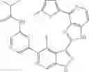 Fig. 848 - 3-(1h-imidazo[4,5-C]pyridin-2-yl)-1h-pyrazolo[3,4-C]pyridine and therapeutic uses thereof