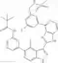 Fig. 899 - 3-(1h-imidazo[4,5-C]pyridin-2-yl)-1h-pyrazolo[3,4-C]pyridine and therapeutic uses thereof