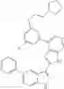 Fig. 1245 - 3-(3H-imidazo[4,5-C]pyridin-2-yl)-1H-pyrazolo[3,4-C]pyridine and therapeutic uses thereof