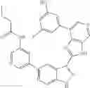 Fig. 1302 - 3-(3H-imidazo[4,5-C]pyridin-2-yl)-1H-pyrazolo[3,4-C]pyridine and therapeutic uses thereof