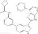 Fig. 131 - 3-(3H-imidazo[4,5-C]pyridin-2-yl)-1H-pyrazolo[3,4-C]pyridine and therapeutic uses thereof