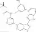 Fig. 1345 - 3-(3H-imidazo[4,5-C]pyridin-2-yl)-1H-pyrazolo[3,4-C]pyridine and therapeutic uses thereof