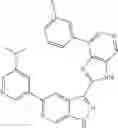 Fig. 14 - 3-(3H-imidazo[4,5-C]pyridin-2-yl)-1H-pyrazolo[3,4-C]pyridine and therapeutic uses thereof