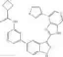 Fig. 261 - 3-(3H-imidazo[4,5-C]pyridin-2-yl)-1H-pyrazolo[3,4-C]pyridine and therapeutic uses thereof