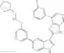 Fig. 31 - 3-(3H-imidazo[4,5-C]pyridin-2-yl)-1H-pyrazolo[3,4-C]pyridine and therapeutic uses thereof