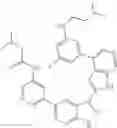 Fig. 425 - 3-(3H-imidazo[4,5-C]pyridin-2-yl)-1H-pyrazolo[3,4-C]pyridine and therapeutic uses thereof