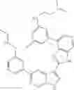 Fig. 429 - 3-(3H-imidazo[4,5-C]pyridin-2-yl)-1H-pyrazolo[3,4-C]pyridine and therapeutic uses thereof