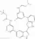 Fig. 439 - 3-(3H-imidazo[4,5-C]pyridin-2-yl)-1H-pyrazolo[3,4-C]pyridine and therapeutic uses thereof