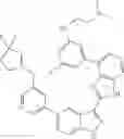 Fig. 448 - 3-(3H-imidazo[4,5-C]pyridin-2-yl)-1H-pyrazolo[3,4-C]pyridine and therapeutic uses thereof