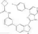 Fig. 53 - 3-(3H-imidazo[4,5-C]pyridin-2-yl)-1H-pyrazolo[3,4-C]pyridine and therapeutic uses thereof