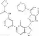 Fig. 547 - 3-(3H-imidazo[4,5-C]pyridin-2-yl)-1H-pyrazolo[3,4-C]pyridine and therapeutic uses thereof