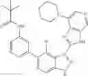 Fig. 613 - 3-(3H-imidazo[4,5-C]pyridin-2-yl)-1H-pyrazolo[3,4-C]pyridine and therapeutic uses thereof
