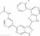 Fig. 71 - 3-(3H-imidazo[4,5-C]pyridin-2-yl)-1H-pyrazolo[3,4-C]pyridine and therapeutic uses thereof
