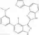 Fig. 716 - 3-(3H-imidazo[4,5-C]pyridin-2-yl)-1H-pyrazolo[3,4-C]pyridine and therapeutic uses thereof