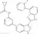 Fig. 78 - 3-(3H-imidazo[4,5-C]pyridin-2-yl)-1H-pyrazolo[3,4-C]pyridine and therapeutic uses thereof