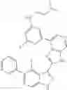 Fig. 869 - 3-(3H-imidazo[4,5-C]pyridin-2-yl)-1H-pyrazolo[3,4-C]pyridine and therapeutic uses thereof