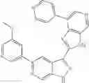Fig. 975 - 3-(3H-imidazo[4,5-C]pyridin-2-yl)-1H-pyrazolo[3,4-C]pyridine and therapeutic uses thereof