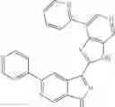 Fig. 997 - 3-(3H-imidazo[4,5-C]pyridin-2-yl)-1H-pyrazolo[3,4-C]pyridine and therapeutic uses thereof