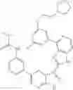 Fig. 1250 - 3-(1H-imidazo[4,5-C]pyridin-2-YL)-1H-pyrazolo[3,4-B]pyridine and therapeutic uses thereof