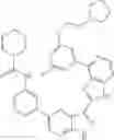Fig. 1263 - 3-(1H-imidazo[4,5-C]pyridin-2-YL)-1H-pyrazolo[3,4-B]pyridine and therapeutic uses thereof