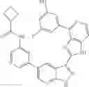 Fig. 1305 - 3-(1H-imidazo[4,5-C]pyridin-2-YL)-1H-pyrazolo[3,4-B]pyridine and therapeutic uses thereof