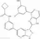 Fig. 1349 - 3-(1H-imidazo[4,5-C]pyridin-2-YL)-1H-pyrazolo[3,4-B]pyridine and therapeutic uses thereof