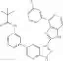 Fig. 15 - 3-(1H-imidazo[4,5-C]pyridin-2-YL)-1H-pyrazolo[3,4-B]pyridine and therapeutic uses thereof