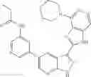 Fig. 164 - 3-(1H-imidazo[4,5-C]pyridin-2-YL)-1H-pyrazolo[3,4-B]pyridine and therapeutic uses thereof