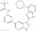 Fig. 171 - 3-(1H-imidazo[4,5-C]pyridin-2-YL)-1H-pyrazolo[3,4-B]pyridine and therapeutic uses thereof