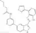 Fig. 259 - 3-(1H-imidazo[4,5-C]pyridin-2-YL)-1H-pyrazolo[3,4-B]pyridine and therapeutic uses thereof