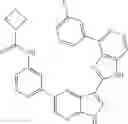 Fig. 27 - 3-(1H-imidazo[4,5-C]pyridin-2-YL)-1H-pyrazolo[3,4-B]pyridine and therapeutic uses thereof