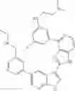 Fig. 429 - 3-(1H-imidazo[4,5-C]pyridin-2-YL)-1H-pyrazolo[3,4-B]pyridine and therapeutic uses thereof