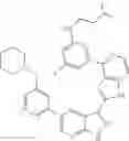 Fig. 438 - 3-(1H-imidazo[4,5-C]pyridin-2-YL)-1H-pyrazolo[3,4-B]pyridine and therapeutic uses thereof