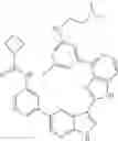 Fig. 443 - 3-(1H-imidazo[4,5-C]pyridin-2-YL)-1H-pyrazolo[3,4-B]pyridine and therapeutic uses thereof