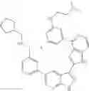 Fig. 447 - 3-(1H-imidazo[4,5-C]pyridin-2-YL)-1H-pyrazolo[3,4-B]pyridine and therapeutic uses thereof