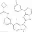 Fig. 469 - 3-(1H-imidazo[4,5-C]pyridin-2-YL)-1H-pyrazolo[3,4-B]pyridine and therapeutic uses thereof