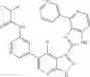 Fig. 536 - 3-(1H-imidazo[4,5-C]pyridin-2-YL)-1H-pyrazolo[3,4-B]pyridine and therapeutic uses thereof