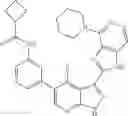 Fig. 625 - 3-(1H-imidazo[4,5-C]pyridin-2-YL)-1H-pyrazolo[3,4-B]pyridine and therapeutic uses thereof
