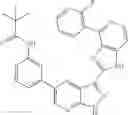 Fig. 67 - 3-(1H-imidazo[4,5-C]pyridin-2-YL)-1H-pyrazolo[3,4-B]pyridine and therapeutic uses thereof
